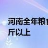 河南全年粮食总产量有望继续稳定在1300亿斤以上