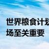 世界粮食计划署官员：保护黎巴嫩的港口和机场至关重要