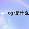 cgr是什么文件格式（cgi是什么格式）