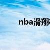 nba滑翔机德雷克斯（nba滑翔机）