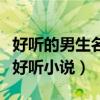 好听的男生名字小说现代慵懒（男生名字帅气好听小说）