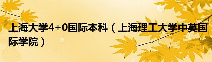 2021上海大学03专业组（2021上海大学4+0国际本科）