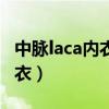 中脉laca内衣真的有那么神奇吗（中脉laca内衣）