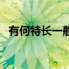 有何特长一般填什么好毕业生（有何特长）