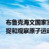 布鲁克海文国家实验室的科学家使用的超高速相机可用于捕捉和观察原子运动