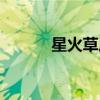 星火草原模式推广（星火草原）