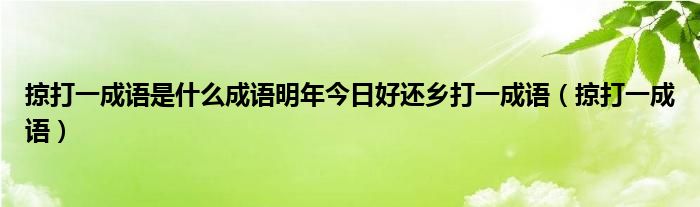 掠地攻城成语大全（带有掠字的成语有哪些）