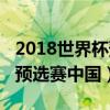 2018世界杯预选赛中国队战绩（2018世界杯预选赛中国）