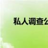 私人调查公司怎么选（私人调查公司）