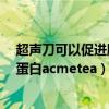 超声刀可以促进胶原蛋白再生吗?（超声刀专用修复型胶原蛋白acmetea）