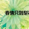 春情只到梨花薄 新浪（春情只到梨花薄）