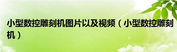 小型数控雕刻机图片以及视频（小型数控雕刻机）