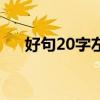 好句20字左右小学生（好句20字左右）