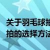 关于羽毛球拍怎么选择你应该知道的（羽毛球拍的选择方法）