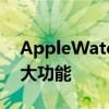 AppleWatch具有一些用于健身和训练的强大功能