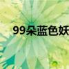 99朵蓝色妖姬多少钱（蓝色妖姬多少钱）