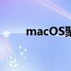 macOS聚焦如何充分利用搜索结果