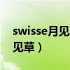 swisse月见草胶囊的功效与作用（swisse月见草）