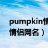 pumpkin情侣网名另一半（pluto的另一半情侣网名）