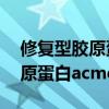 修复型胶原蛋白acmetea多少钱（修复型胶原蛋白acmetea）