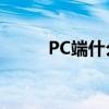 PC端什么意思?（pc端什么意思）