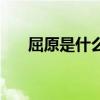 屈原是什么节日（重阳节是什么节日）