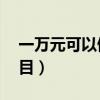 一万元可以做小项目（一万元可以做16个项目）