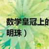 数学皇冠上的明珠是谁提出的（数学皇冠上的明珠）