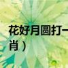 花好月圆打一生肖打一生肖（花好月圆打一生肖）