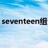 seventeen组合成员介绍（seventeen组合）