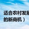 适合农村发展的新商机有哪些（适合农村发展的新商机）