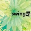 swing是什么意思（swing是什么）