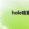 hole啥意思（hole什么意思中文）