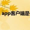 app客户端是什么意思（客户端是什么意思）