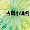 古风小说名字自创书名（古风小说名字）