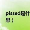 pissed是什么意思中文翻译（pisces中文意思）