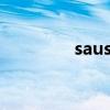 sausage英语（sausage）