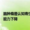 脑肿瘤是认知寄生虫——脑癌如何劫持神经回路并导致认知能力下降