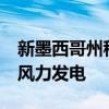 新墨西哥州租用 174,000 英亩公共土地用于风力发电