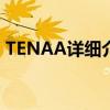 TENAA详细介绍的入门级荣耀V21智能手机