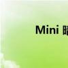 Mini 暗示现代旅行者小型货车