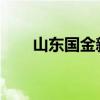 山东国金新能源乘用车的实车图出现