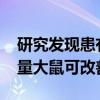 研究发现患有自闭症样 FXS 的裸盖菇素微剂量大鼠可改善症状