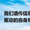 我们遗传信息中的病毒 RNA 序列导致干扰素驱动的自身免疫