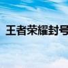 王者荣耀封号查询系统——账号安全守护神