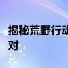 揭秘荒野行动外挂真相：如何识别、防范与应对