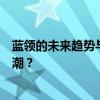 蓝领的未来趋势与发展挑战：如何应对劳动力市场变革的浪潮？