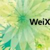 WeiX网页版登录页面全解析