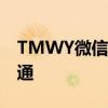 TMWY微信网页版登录——轻松实现在线沟通