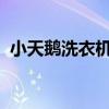 小天鹅洗衣机无法脱水原因分析及解决方案